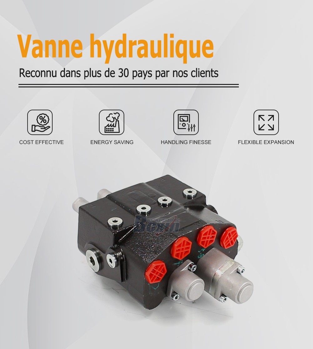 HSDM80-QTWDD-OTDD Câble 2 tiroirs Vanne directionnelle monobloc